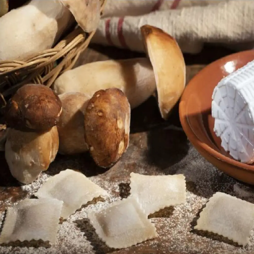 High Quality Artisanal Frozen Ravioli With Ricotta and Porcini Mushrooms 1000 g Bag Made in Italy for Distributor