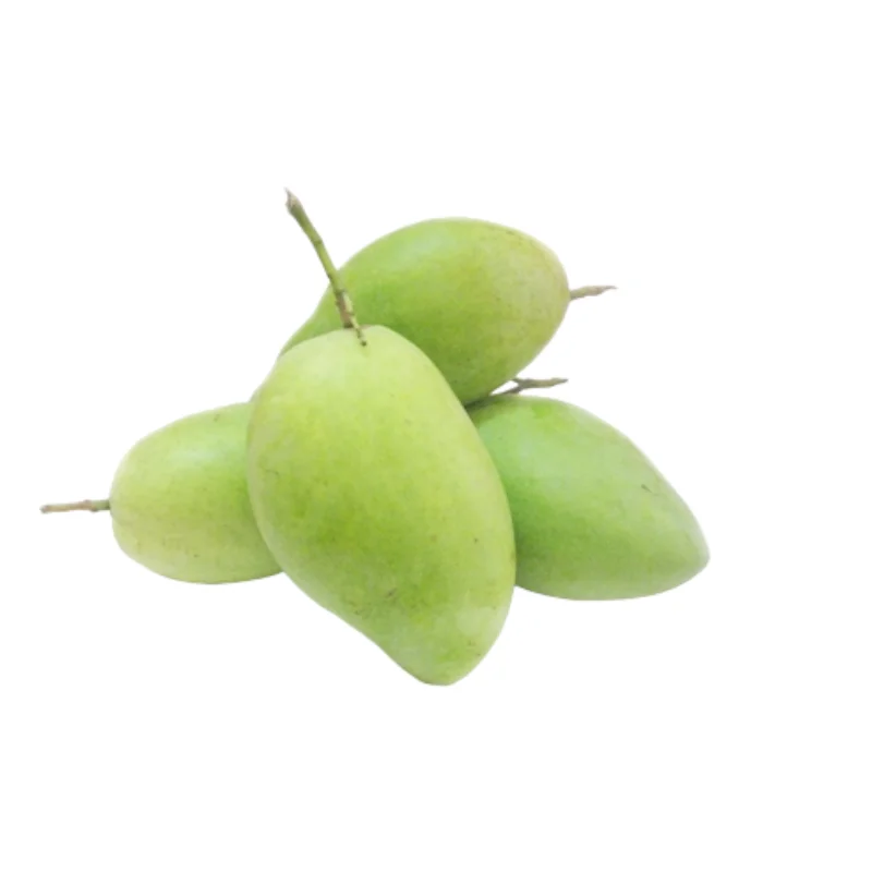 Premium Bulk Fresh Mango product