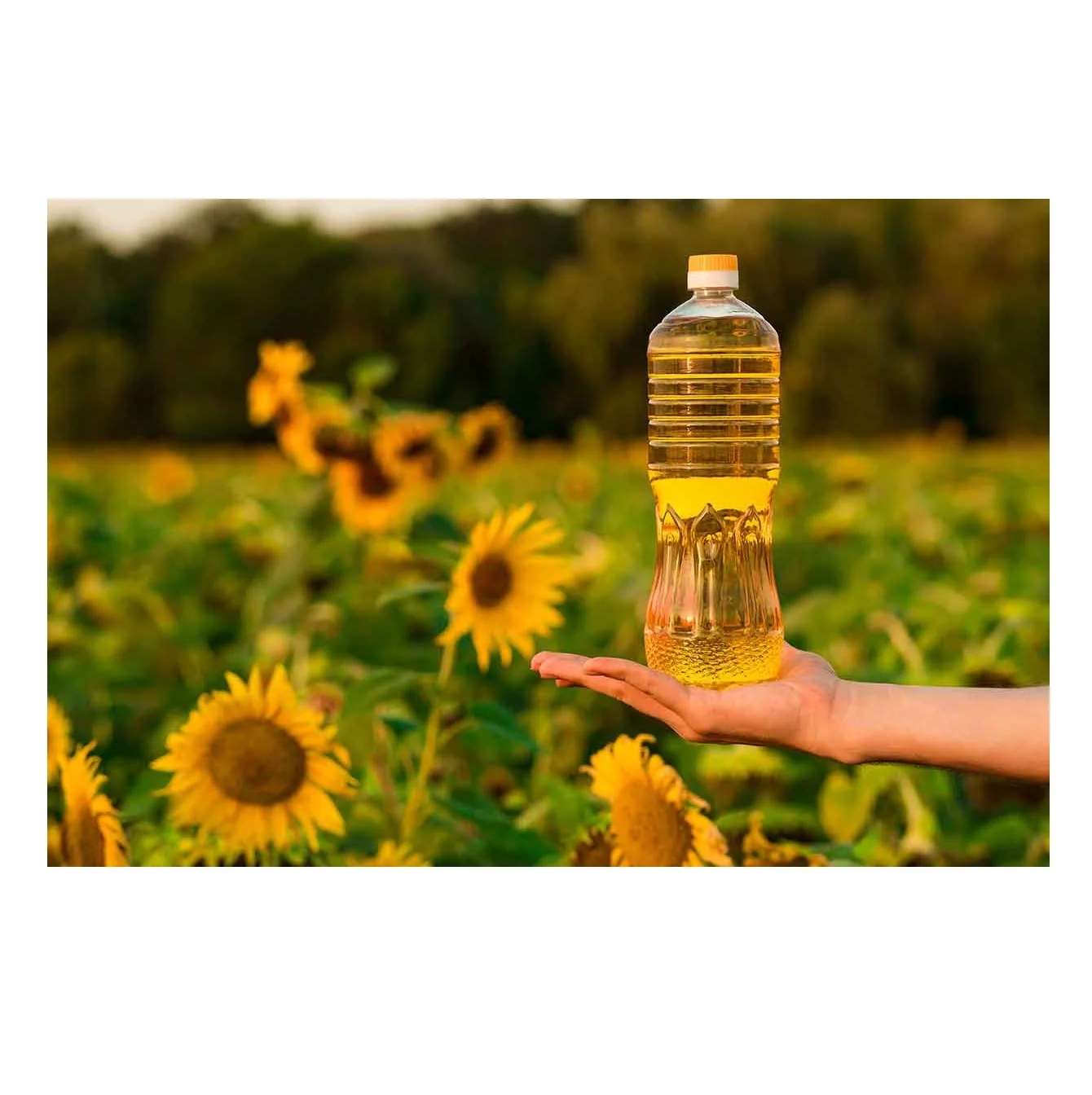 Wholesale Price Refined Sunflower Oil / Edible Sunflower Cooking Oil Bulk Stock Available For Sale
