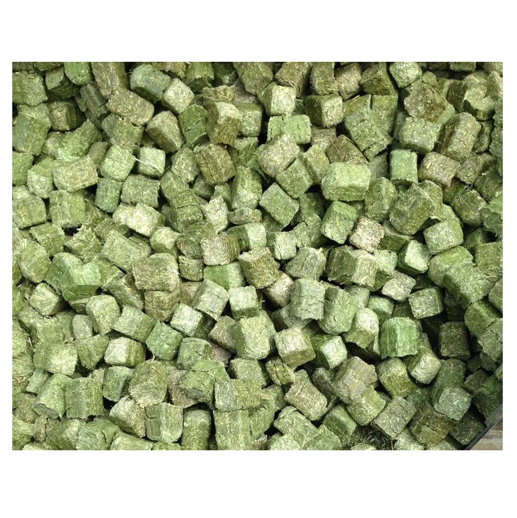 Кубики корма для животных высшего качества сушеный Тимофей сено овец Судан Испания цена за тонну продажа тюков сена Альфальфа