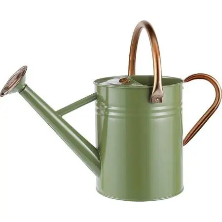 Antique Galvanized Iron Planter Watering  Can  Wholesale Manufacturer Custom Garden Decor Plant Watering Can
