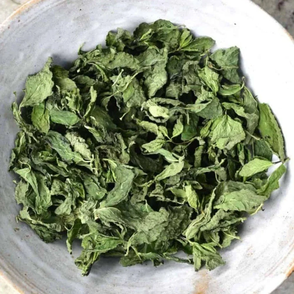 High Quality Dry Mint Leaves