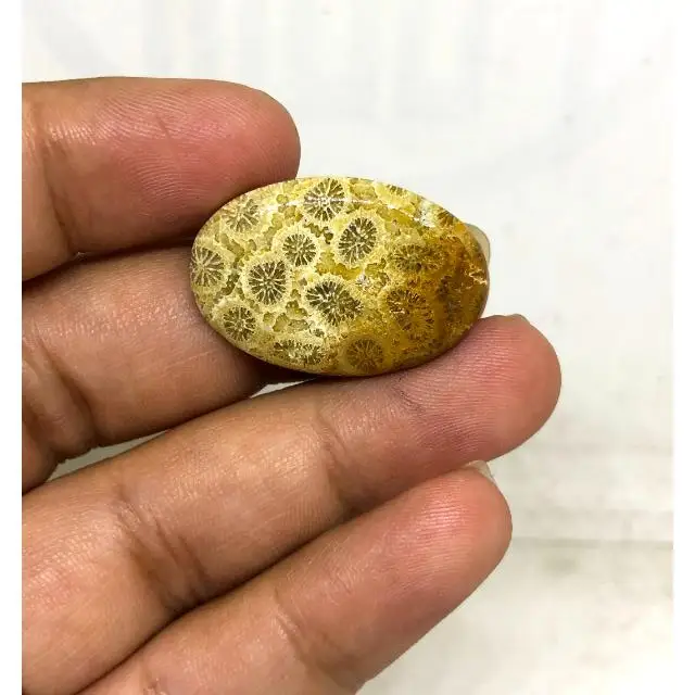 Natural Fossilized Coral Loose Cabochon mix shape in all size Handmade Nice Coral Cabochon Loose Gemstones Making For Jewelry