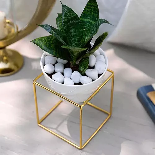 2022 Best Quality Tree Planters Indian Customized Wholesale Stylish Home Decor Flower Pots And Planters