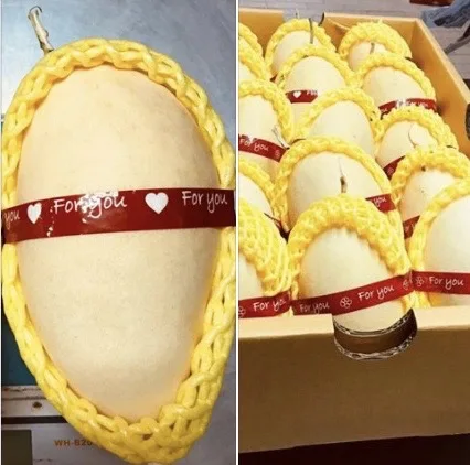 Thailand Export Quality  Best Selling Mangoes Known As Nam Dok Mai From  Thailand