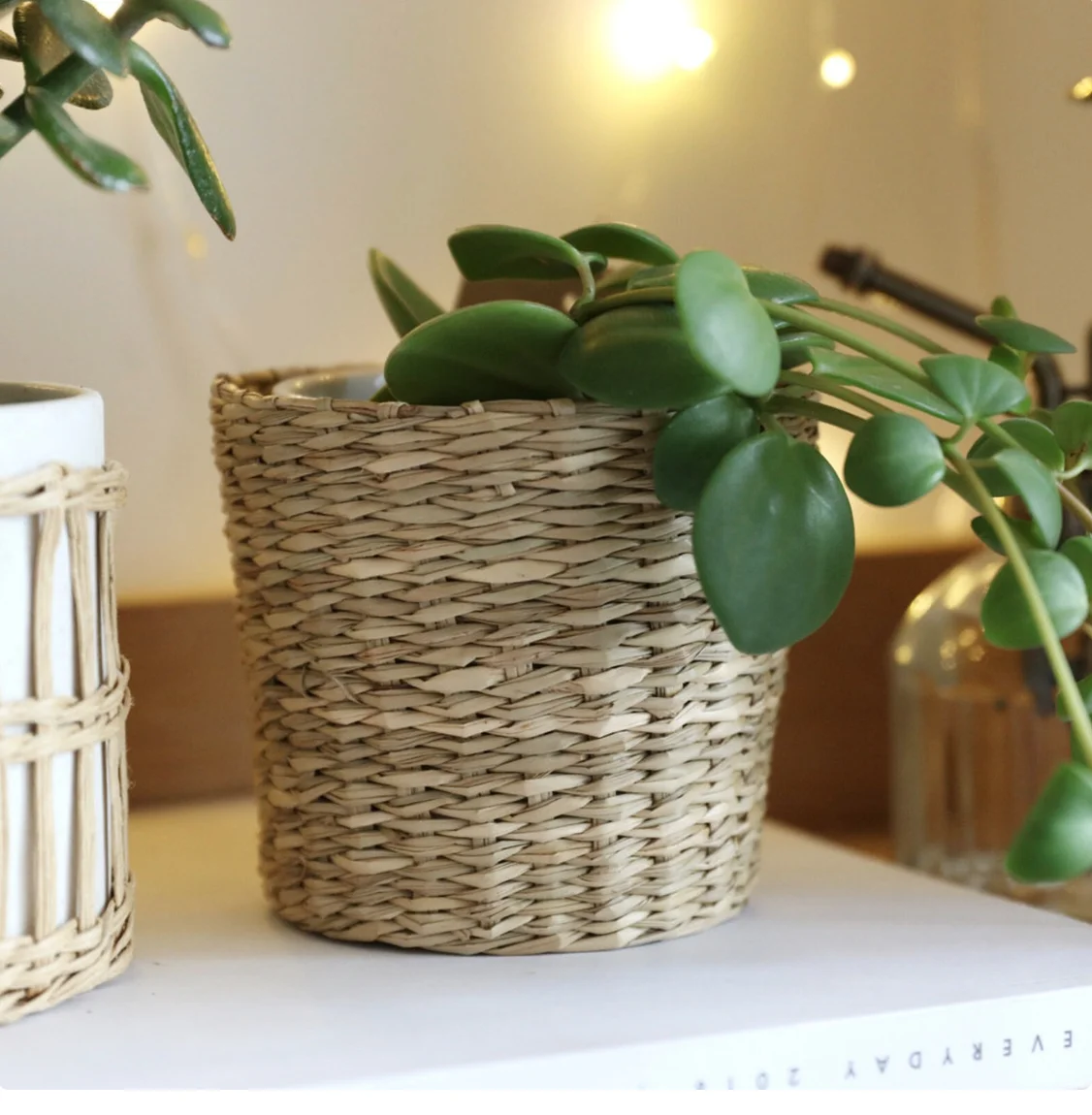 Top choice Sustainable Ecofriendly Lovely Handmade Seagrass Pots for Planting Trees