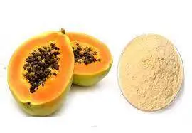Dehydrated Papaya Enzyme Papain Extract Powder Reasonable Price 100% Organic Papaya Pawder / Papaya Juice Powder For Sale