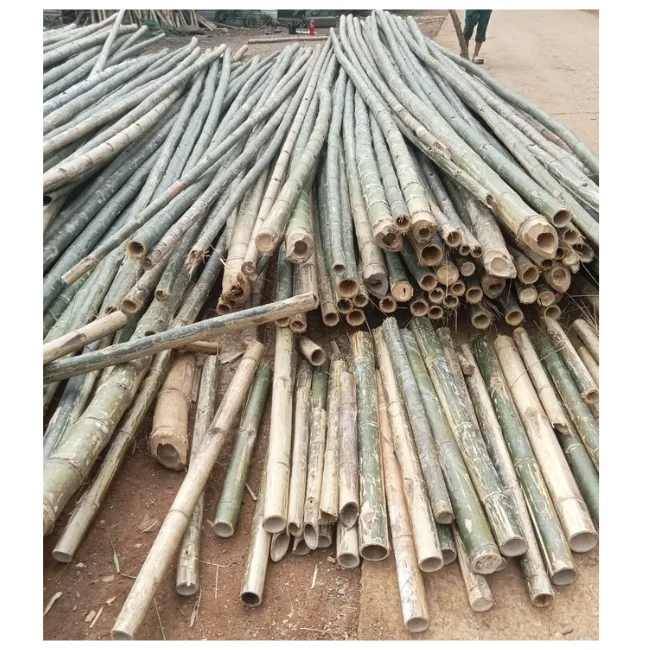 Оптовая продажа экологически чистые вьетнамские бамбуковые палки натуральная бамбуковая трость/палка/кол для строительства