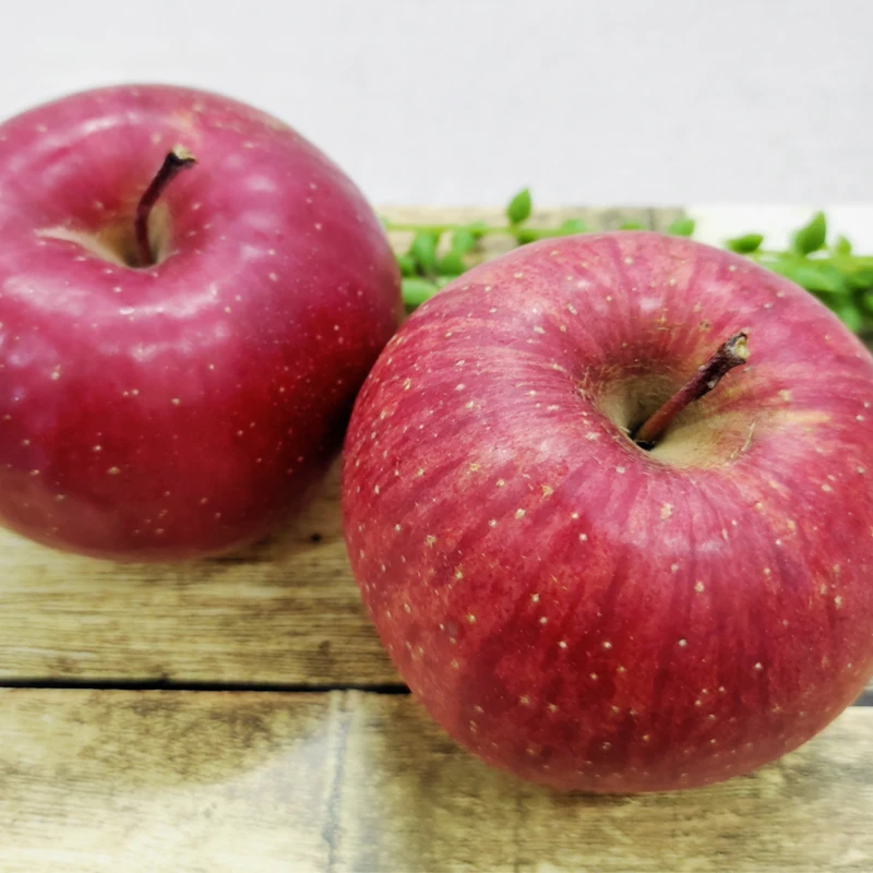 Fresh fruits suppliers fresh apples one container fresh apples for sell