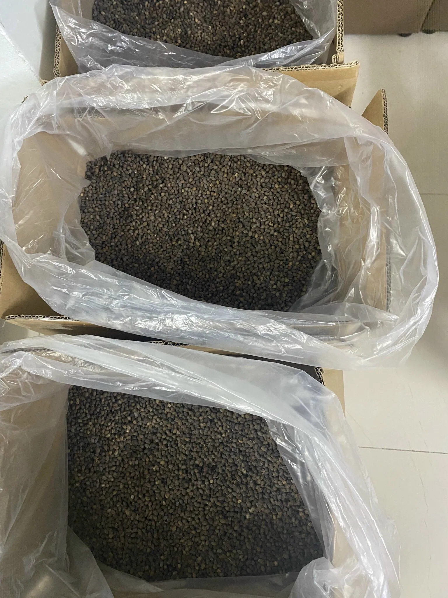 Crushed papaya seeds help treat acne