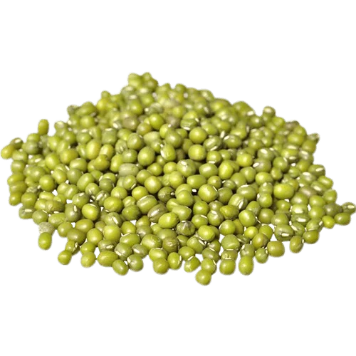 Wholesale Natural Organic High Quality Green Mung Beans Green Vigna Beans Green Gram Beans