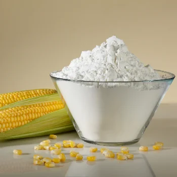 South Africa manufacture price of Starch Potato/Corn Starch high quality