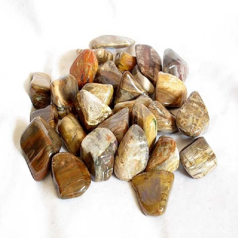 stone tumbled Petrified natural crystal tumbled healing bulk pebble agate Gemstone chakra petrified wood stone wholesale bulk