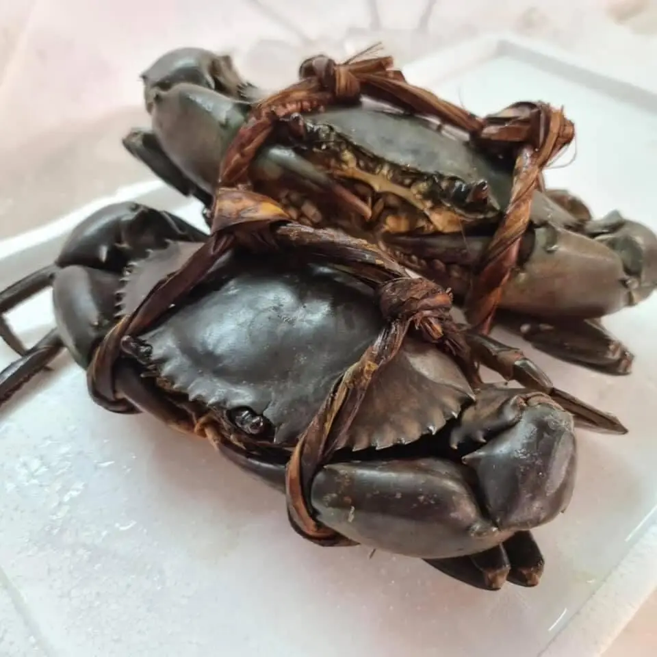 High quality Mud crab for sale bulk supplier hot sale mud crabs blue frozen mud snow crab at best price