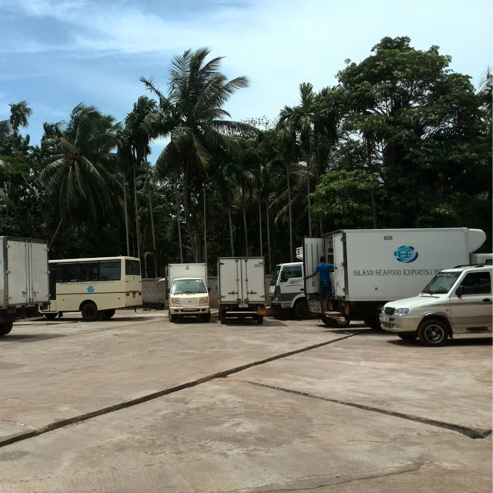 Untitled design (16).png