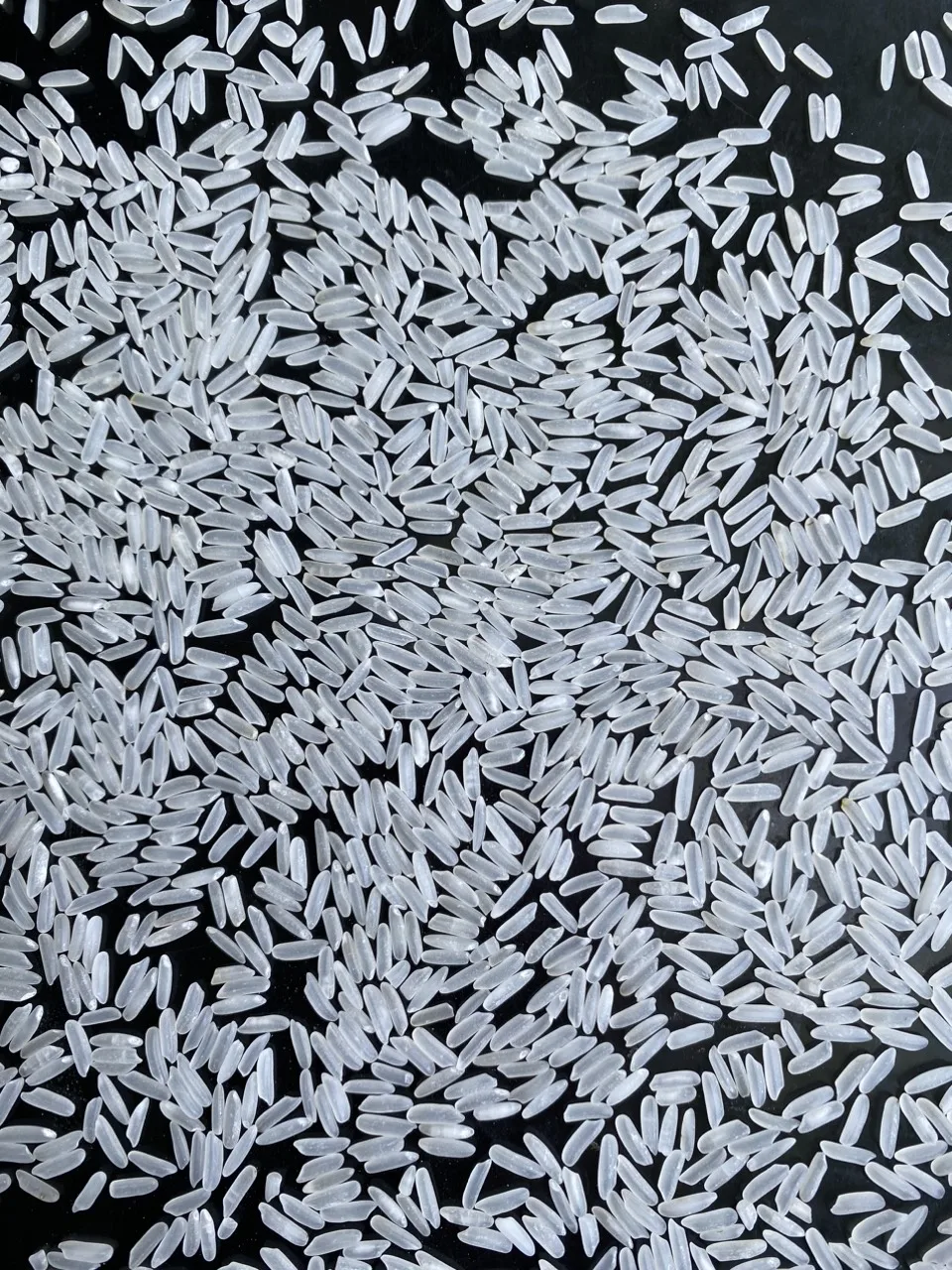 Vietnamese Jasmine rice / Rice from Vietnam/ OEM brand