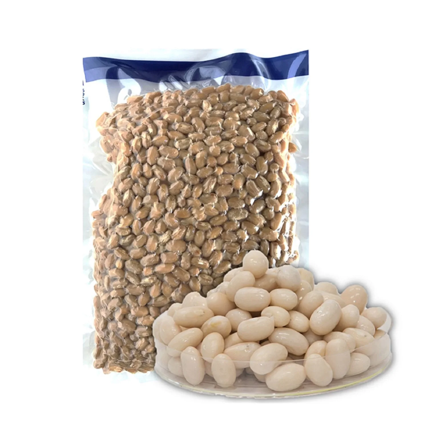All Season Eatable Big Sized Black Eye Beans As Kidney in Fresh Quality New Price