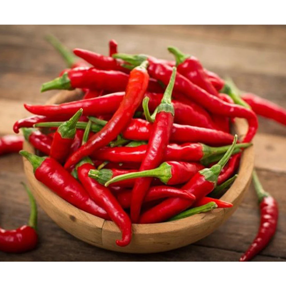 Лучшая цена, свежий красный перец чили, измельченный перец чили, острый и пряный экспорт, весь сушеный Чили из Вьетнама