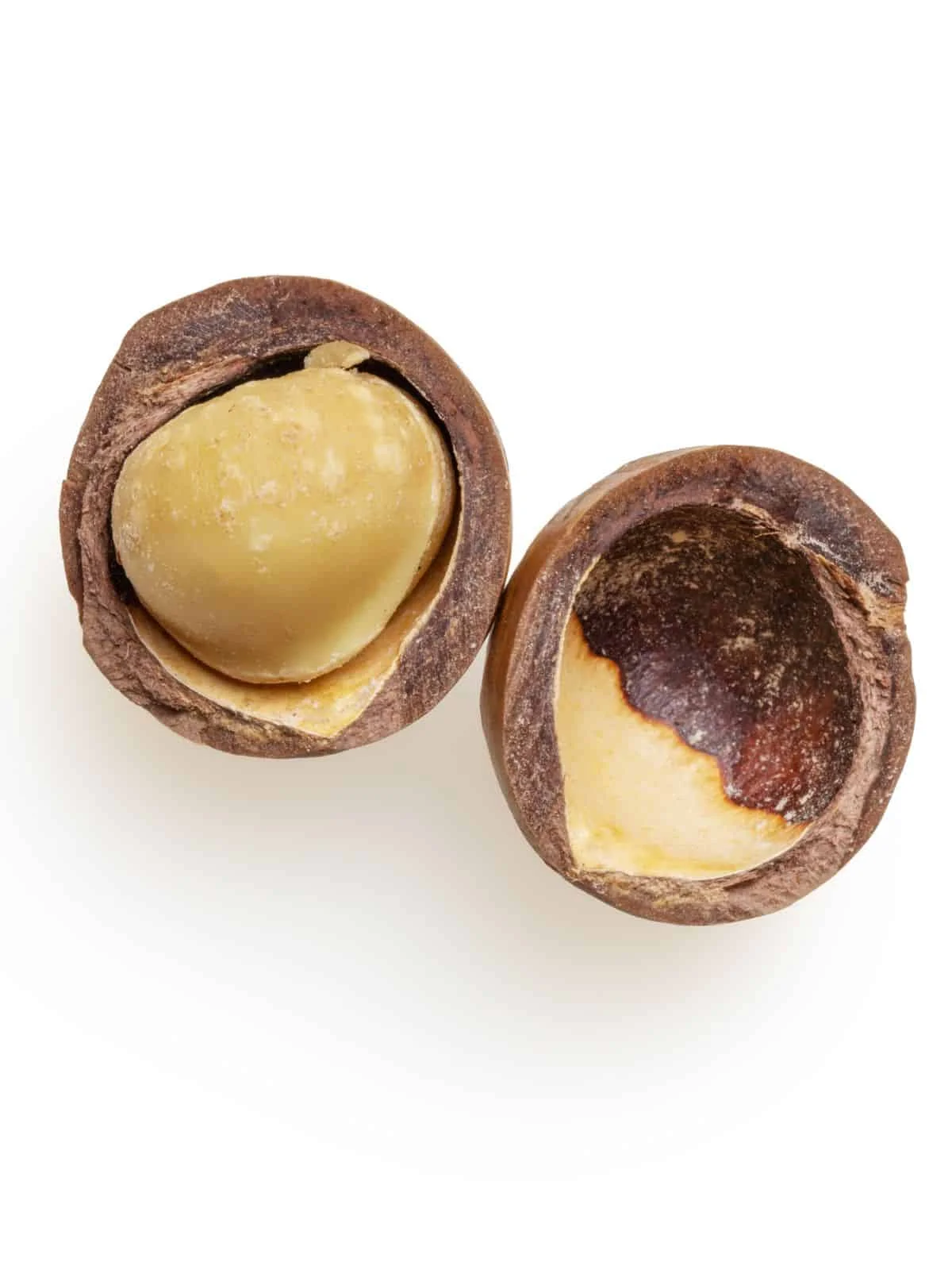 100% Natural Macadamia Nuts Cracked Delicious Healthy Snack From Austria