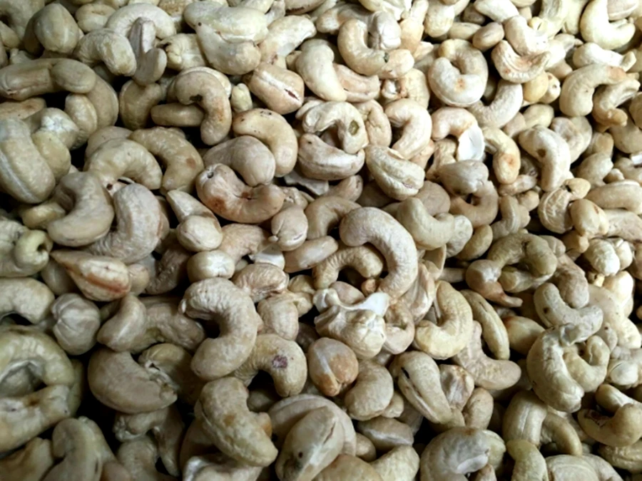 Cashews Nut Raw Whole Cashew Nuts 100% Natural Best Quality Export Grade B Wholesale Premium Product Of Thailand
