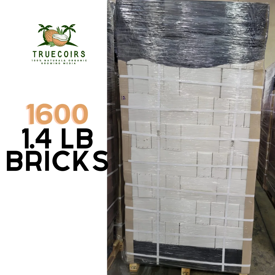 Bio Blooms Gardening Coir Pith 650 g Coco Peat Brick for Agriculture and Planting Use at Wholesale Prices