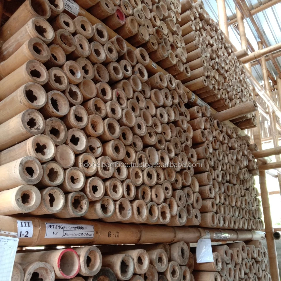 Bamboo Poles Natural Straight for Construction 7m (Non-Treated)