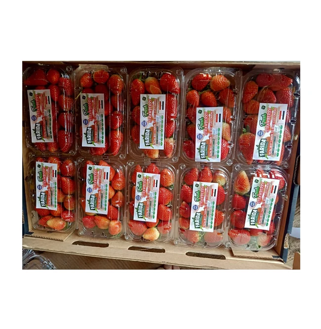 Premium Quality Wholesale Delicious Sweet and Natural Taste Fruits Berries Red Fresh Strawberry from Egypt
