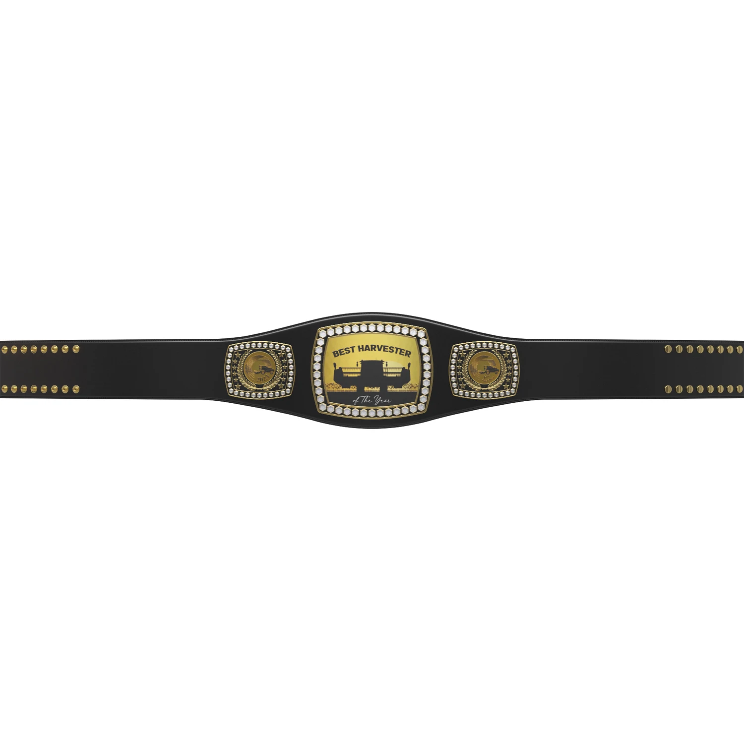 Express Legend Championship Belt newest full size belt Authentic Wear Universal Wrestling Winner Blue Commemorative Title Belt