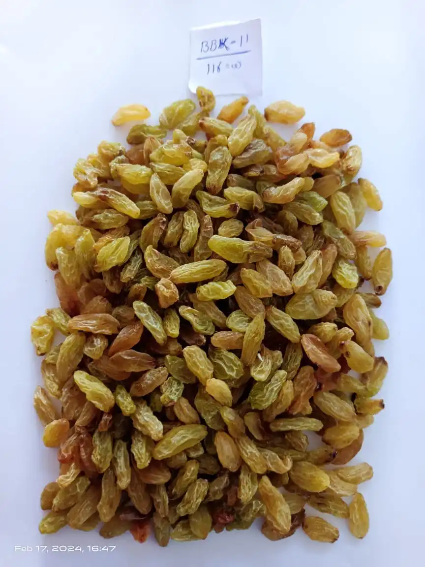 Manufacturer Supply Quality Green Raisins Dried Grapes
