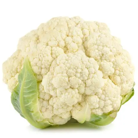2021 new crop cauliflower fresh white cauliflower from South Africa with high quality and low price