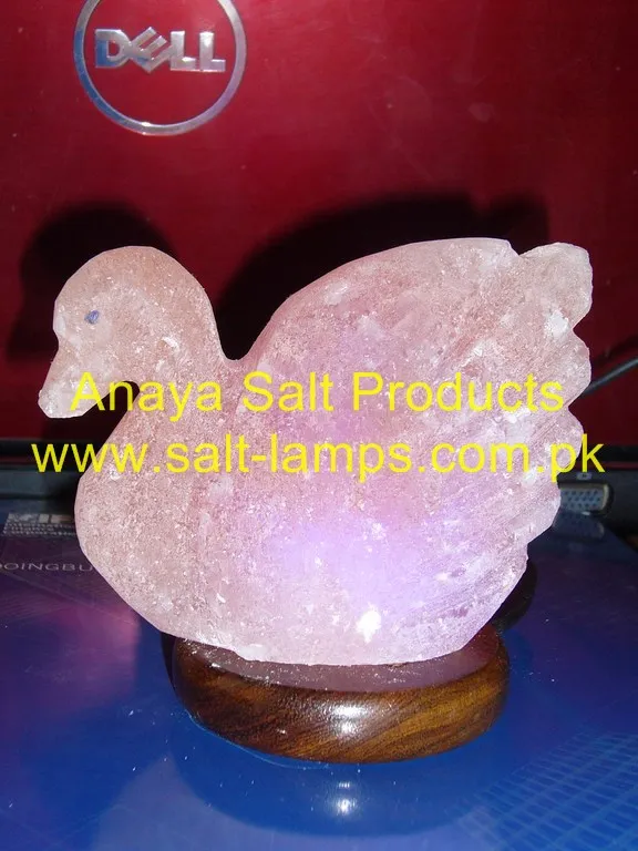 Himalayan Elephant Shape Red Rock Salt Crystal Lamps / Himalayan Animal Shape Salt Lamps