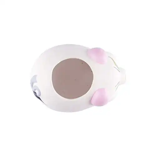 Terracotta Money Plant/Piggy Planter 1 Quantity for Office Decor & Accessories