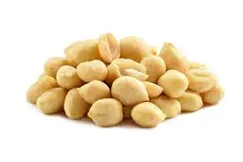 Peanuts Raw In Shell High Quality Peanuts Dried Egypt Top selling Peanuts wholesale bulk new crop
