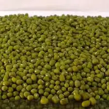 High Quality Green Mung Beans / Whole Beans Available For Sale - READY TO LOAD At GOOD Price
