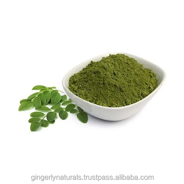 Indian Origin Indigofera Tinctoria Leaves Powder from India at Cheapest Price