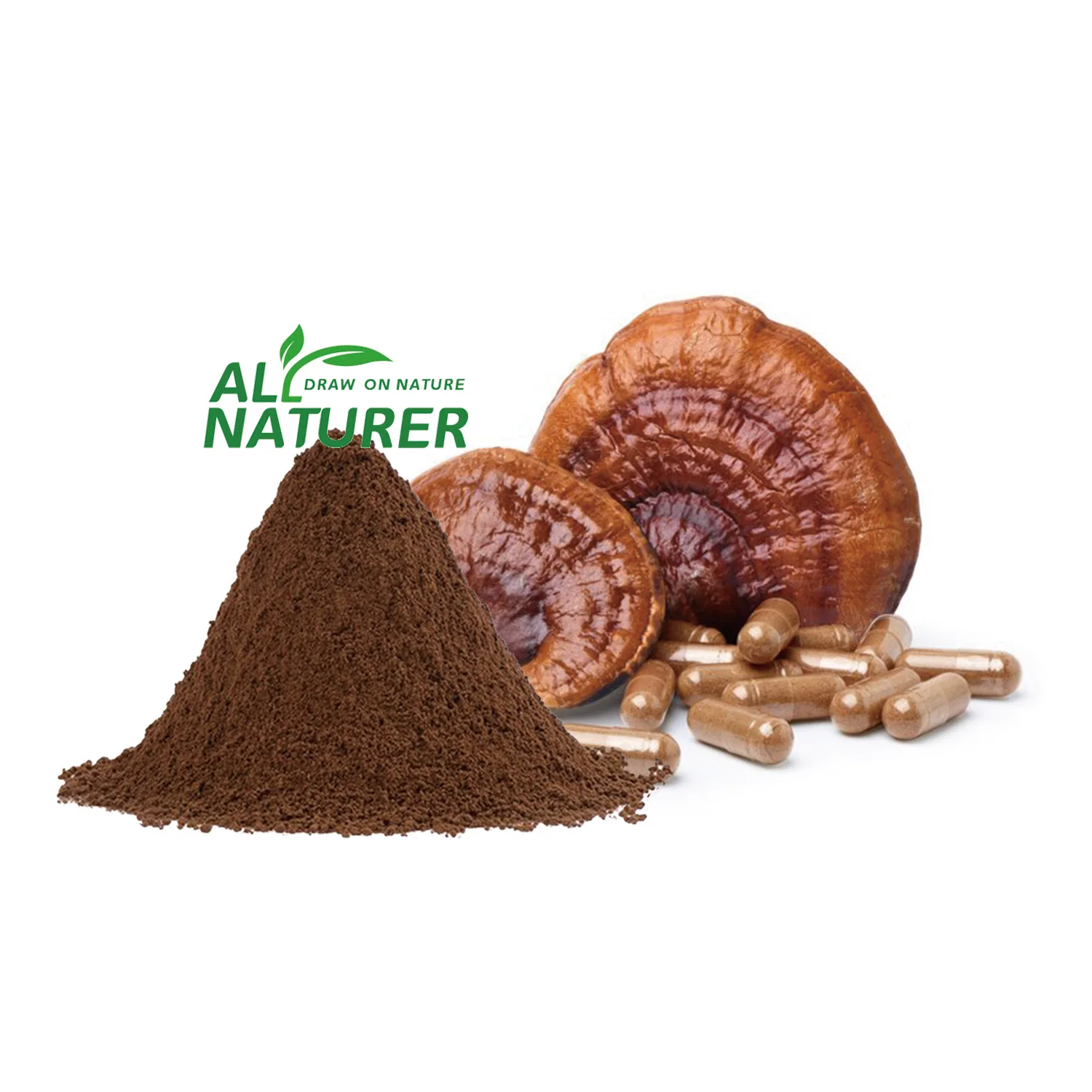 OEM 500 мг Lingzhi/Ganoderma Lucidum/капсулы с экстрактом грибов рейши