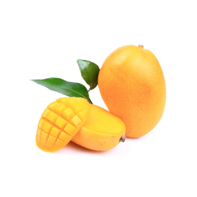 Cheap Wholesale Competitively High Quality Fresh Mango Hot Goods Best Price Manufacturer in Vietnam