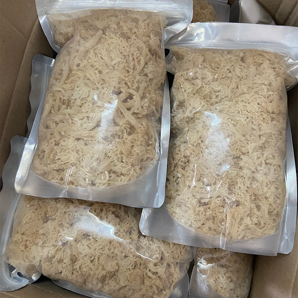 High Quality 100% Oragnic Natural Gold Sea Moss/ Irish Moss / Wildcrafted Sun Dried Seamoss From Vietnam