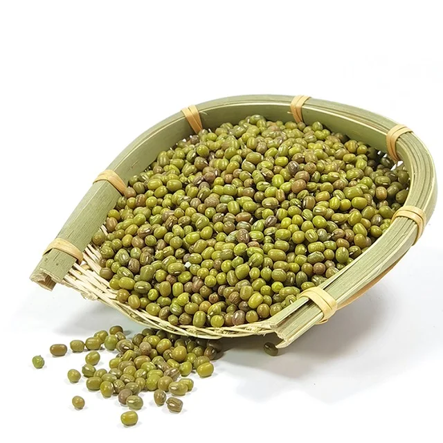 Premium quality food grade vigna beans green mung beans for human consumption