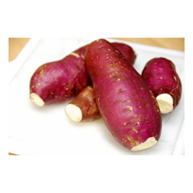 Сладкий картофель, новый сезон сбора урожая, свежий, размер под заказ, оранжевый, высшее качество, лучший продавец, оптовая продажа, вкусная конкурентоспособная цена