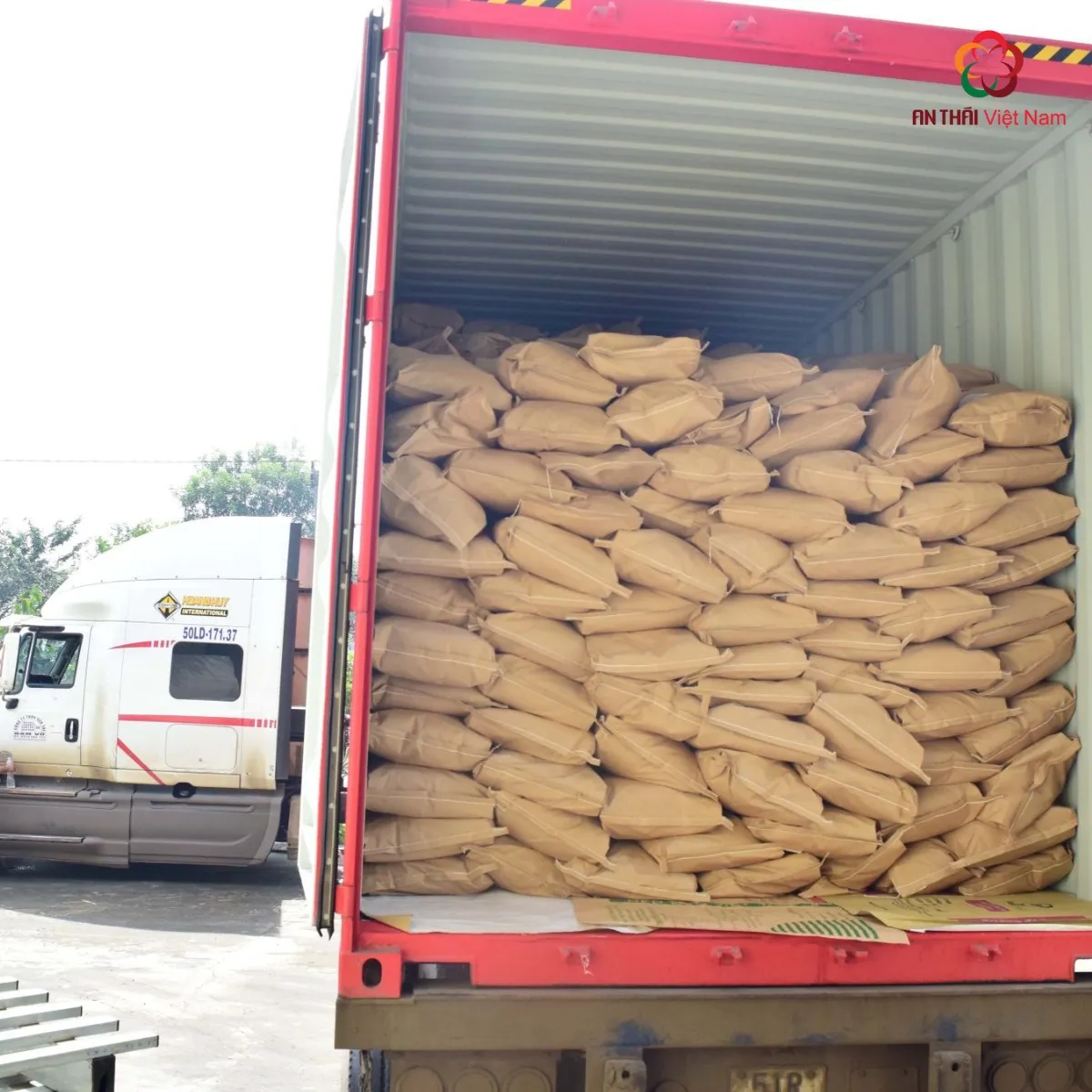 High Quality Original Vietnam Caffeinated Bitter Chocolate Flavor Instant Coffee Powder Bulk Box Bag Cream Fruit Nut Variety