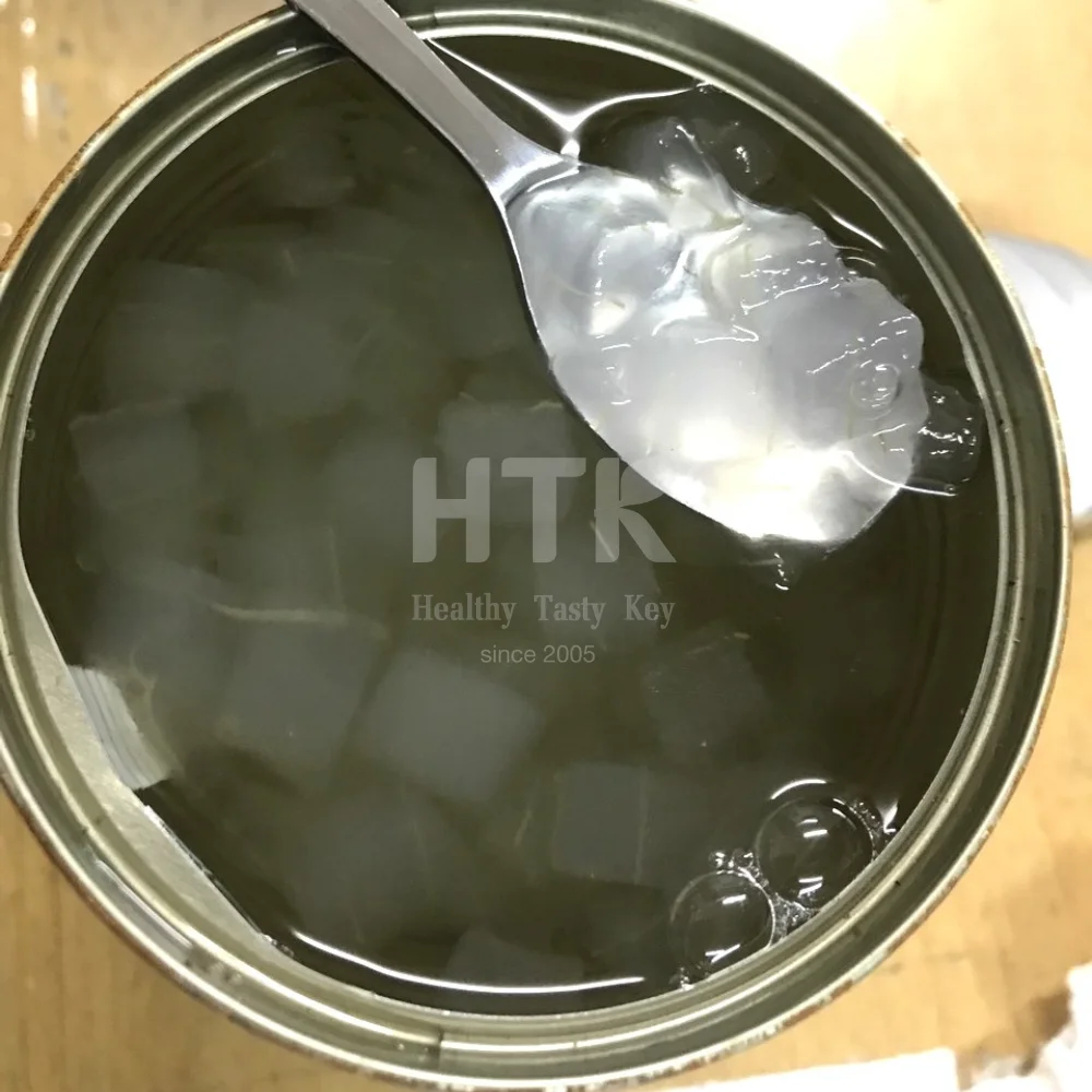 HOT SELLING 2024 CANNED ALOE VERA CUBE IN SYRUP 100% NATURAL FOR BEVERATE AND TOPPING FROM HTK FOOD