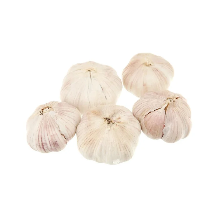 Top Quality Garlic Used As A Seasoning For Dishes 100% Dried Garlic Organic Packed In Box Vietnam Manufacturer