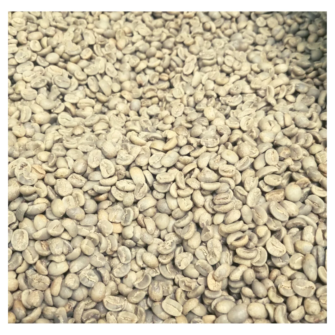 Premium Quality Costa Rican Floral Fruity Arabica Raw Green Coffee Beans 1 kg bag For Wholesale  Worldwide Shipping