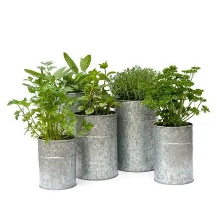 Small And Large Galvanized Planters Buckets And Small Flower Pots Custom garden Planters Set For Indoor Outdoor Decoration