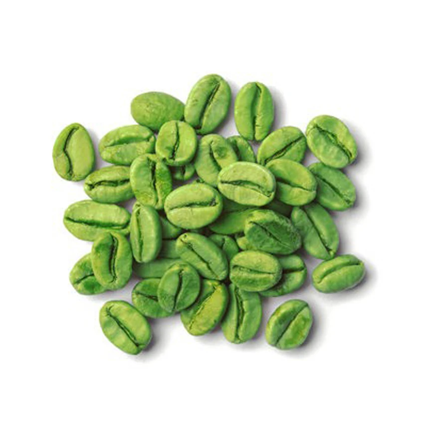 Wholesale Brazilian High Quality Green Beans Coffee With Best Price For Import Good Quality Raw Coffee Beans
