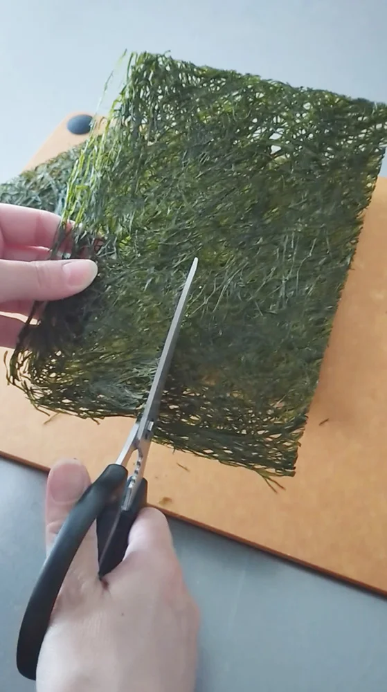 Best Graded Approval Vegan Cuisine Salad Kombu Springy Texture Nori Edible Seaweed