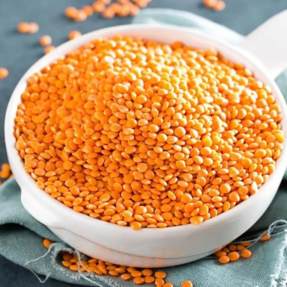 Green Lentils Grade Top Quality Green Lentils In Bulk Lentils Manufacturers Canada