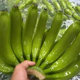 Вьетнамские свежие бананы cavendish, высокое качество, экспортируется в Китай, Корею и Малайзию