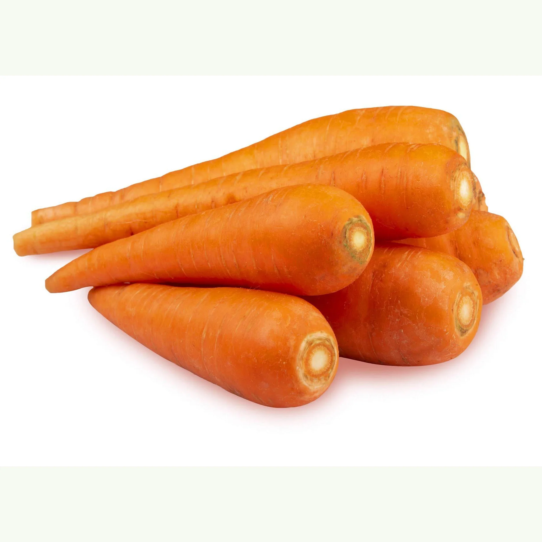 Excellent and Super Fresh Carrot  Fresh Vegetables Common Cultivation Export quality orange Natural sweet Fresh Carrot